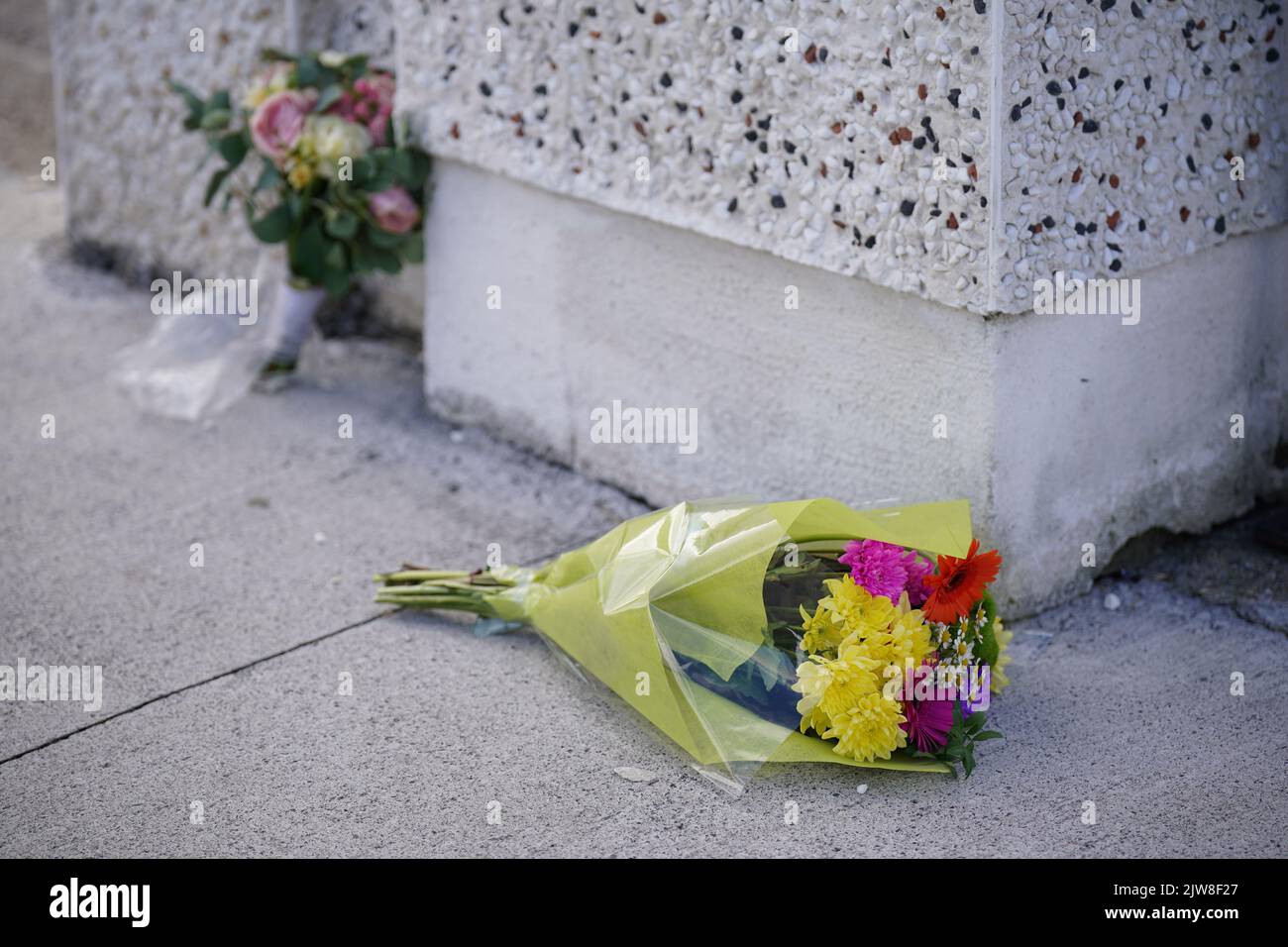 Florece en la escena en Rossfield Estate en Tallaght, Dublín, después