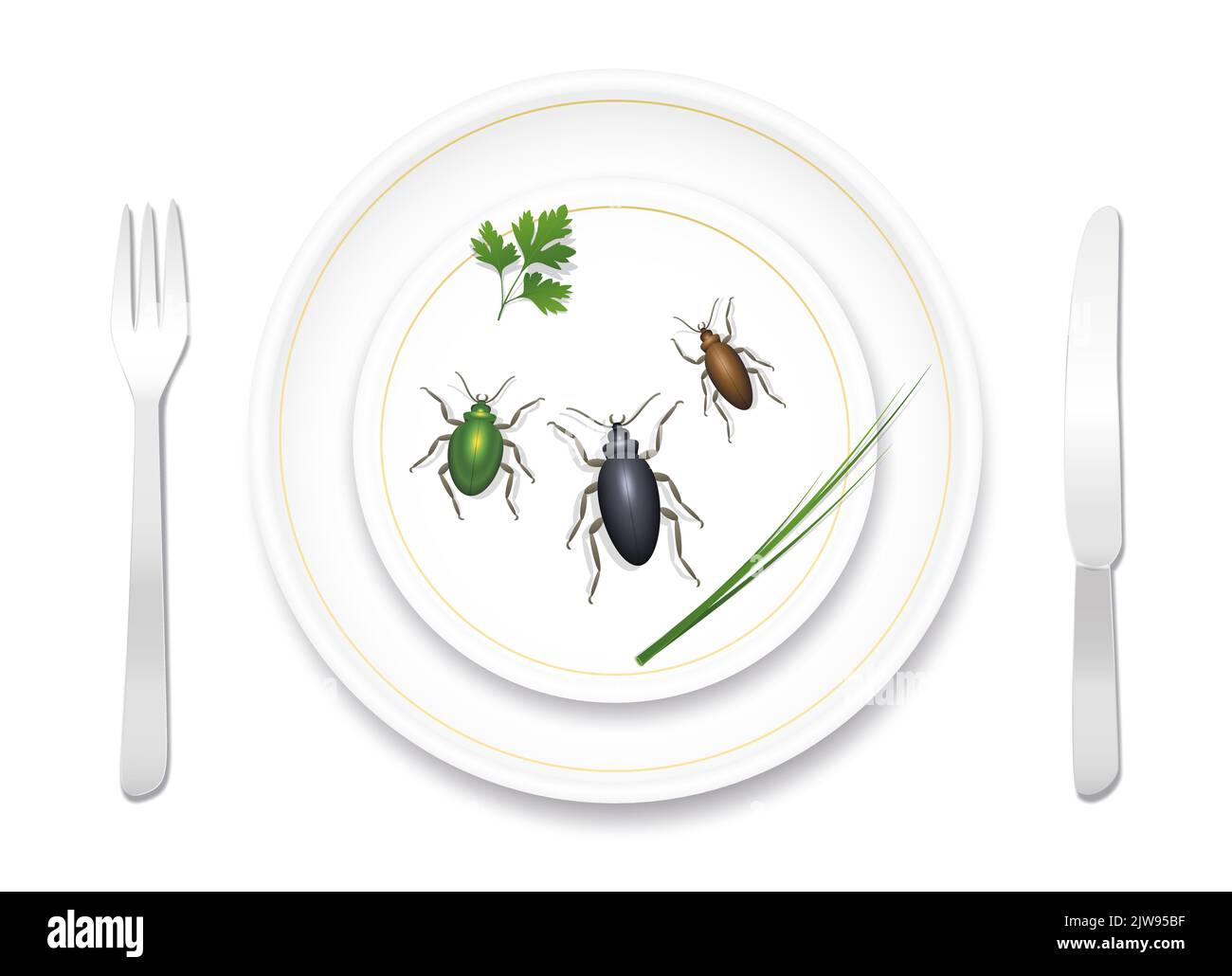 Comer insectos, insectos, escarabajos. Vajilla de porcelana fina y noble bien preparada con tres sabrosas bichos y hierbas saludables. Comida deliciosa o asquerosa. Foto de stock