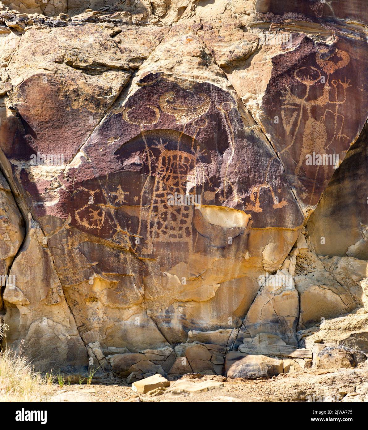 Petroglifos arte rupestre en Legend Rock State Archaeological Site, Wyoming - paneles de arenisca tallados con figuras animales antropomorfas y zoomórficas Foto de stock