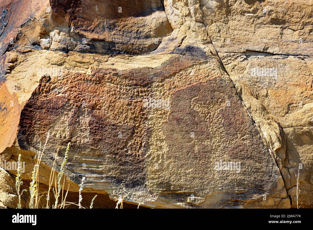 Petroglifos arte rupestre en Legend Rock State Arqueológico Site, Wyoming - varias formas antropomorfas delineadas y en toto talladas son visibles Foto de stock