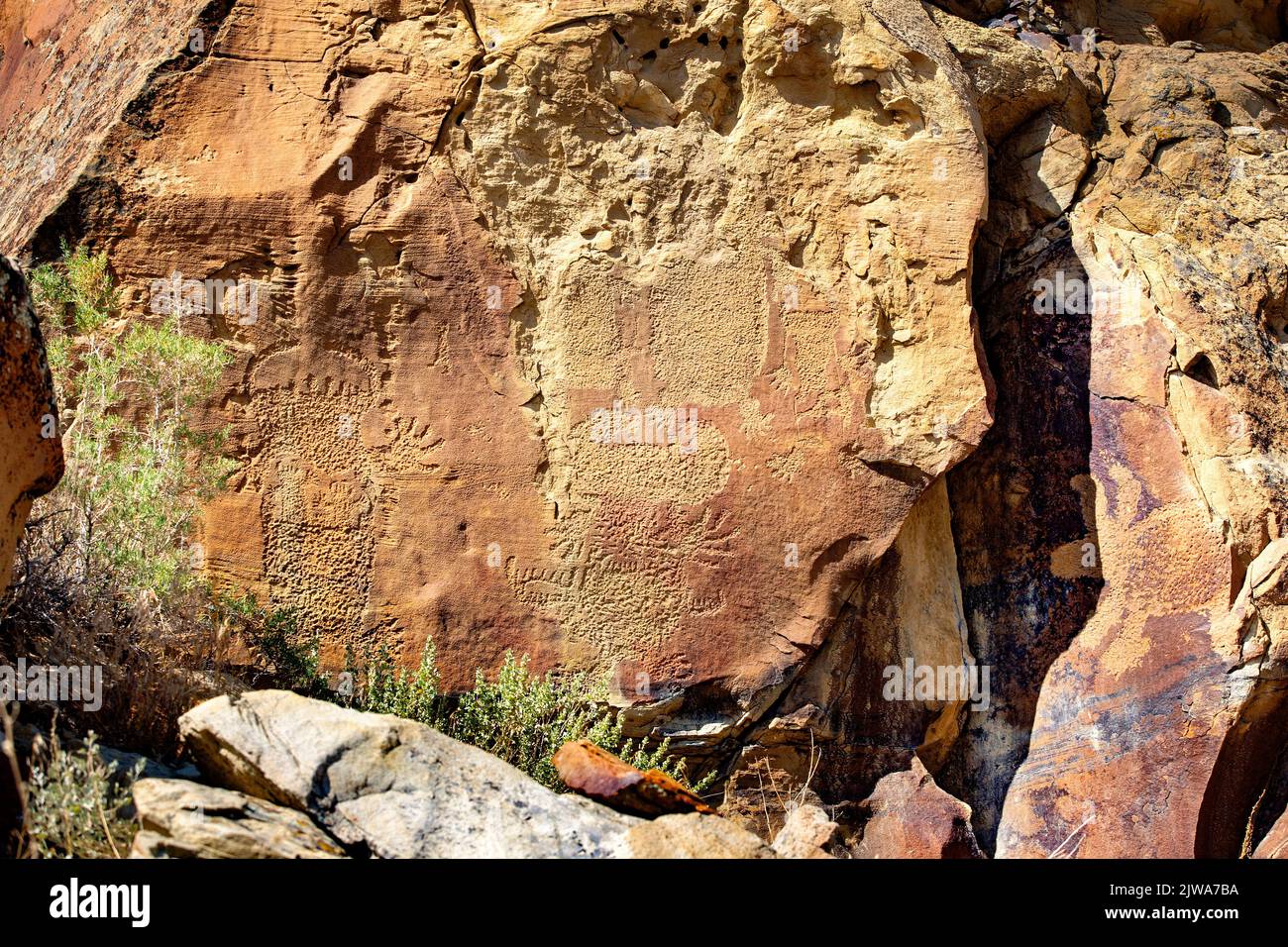 Petroglifos arte rupestre en Legend Rock State Archaeological Site, Wyoming - varios esbozados en toto con piquetes antropomórficos y zoomórficos Foto de stock