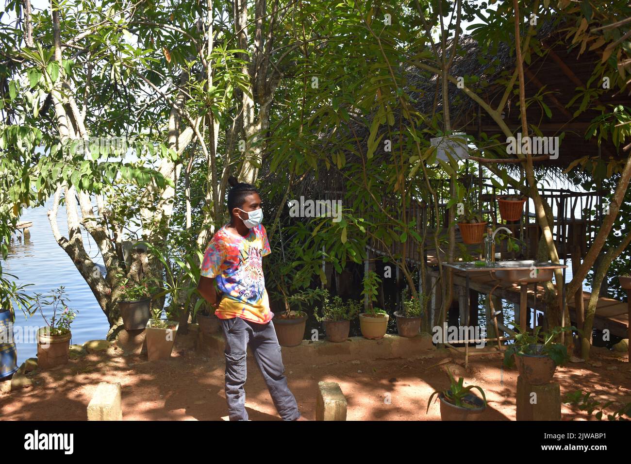Isla Canela está situado en el Madhu Ganga está situado hacia el sur de Sri Lanka. El islote está habitado por la familia del cinamomo G. H. Premadasa, quien tiene la amabilidad de explicar a los visitantes cómo pelar la canela para la producción de aceite de canela. La gente puede tener una canela mezcla de té y la canela de la compra de la más alta calidad aquí. La canela es una especia que proviene de la corteza interior del árbol tropical Cinnamomum, se vende como hojas rodadas (ramitas de canela) o se muele en un polvo fino. Sri Lanka. Foto de stock