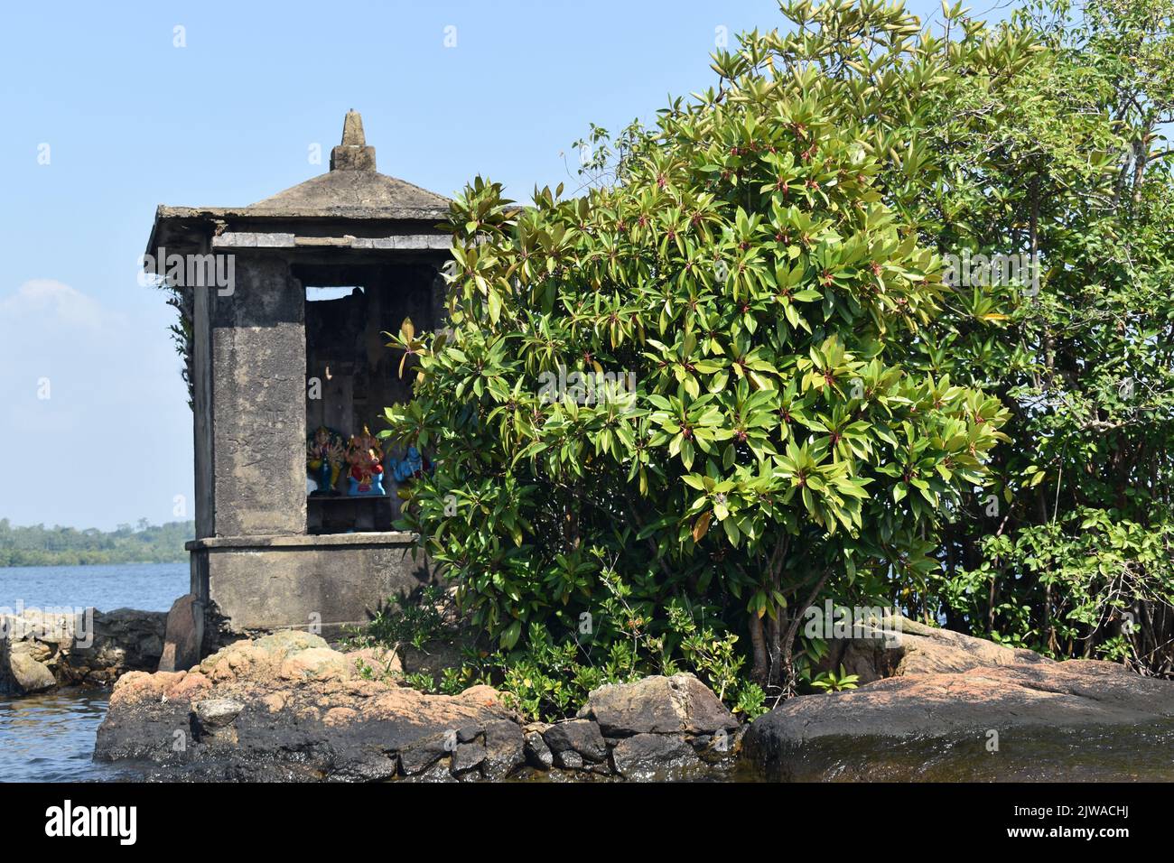 El islote más pequeño del lago Madu Ganga se llama “Satha Paha Doowa”. “Paha” se traduce como “cinco”, mientras que “Satha” significa “centavo”. Según la tradición local, el islote había sido comprado una vez por cinco centavos. Pero otros dicen, él consiguió su nombre debido a la forma o el tamaño pequeño que se asemeja apenas a una moneda pequeña. Sin embargo, FICE-CENT-ISLAND es lo suficientemente grande como para llevar un templo. El santuario está dedicado a Kataragama, una deidad venerada por budistas cingaleses e hindúes tamil y animistas de Weddah por igual. En cierto modo, es un Devale, un santuario budista para una deidad hindú. Sri Lanka. Foto de stock