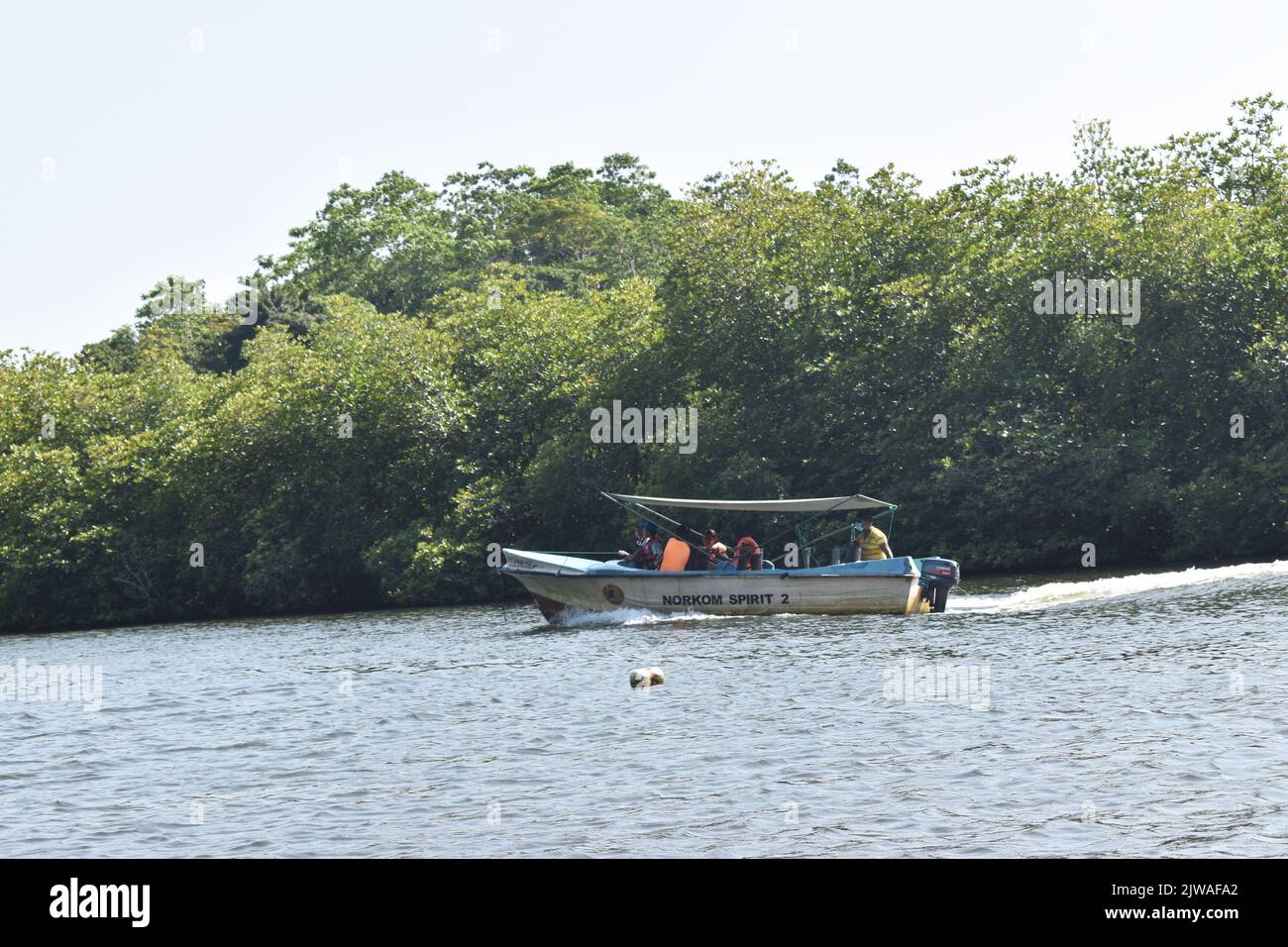 El Madu River Safari es una actividad popular que tiene que estar en la lista de cualquier respetable turista de Sri Lanka. Esta inolvidable actividad dura más de dos horas y le da al visitante la oportunidad de viajar por los pasajes secretos a través de los manglares y ver la ecología. Madu Ganga es un curso de agua menor que se origina cerca de Uragasmanhandiya en el distrito de Galle de Sri Lanka, antes de ensancharse en el lago Madu Ganga en Balapitiya. El río entonces fluye por 4,4 km más antes de drenarse en el Océano Índico. Se encuentra a 88 km al sur de Colombo y a 35 km al norte de Galle. Sri L Foto de stock