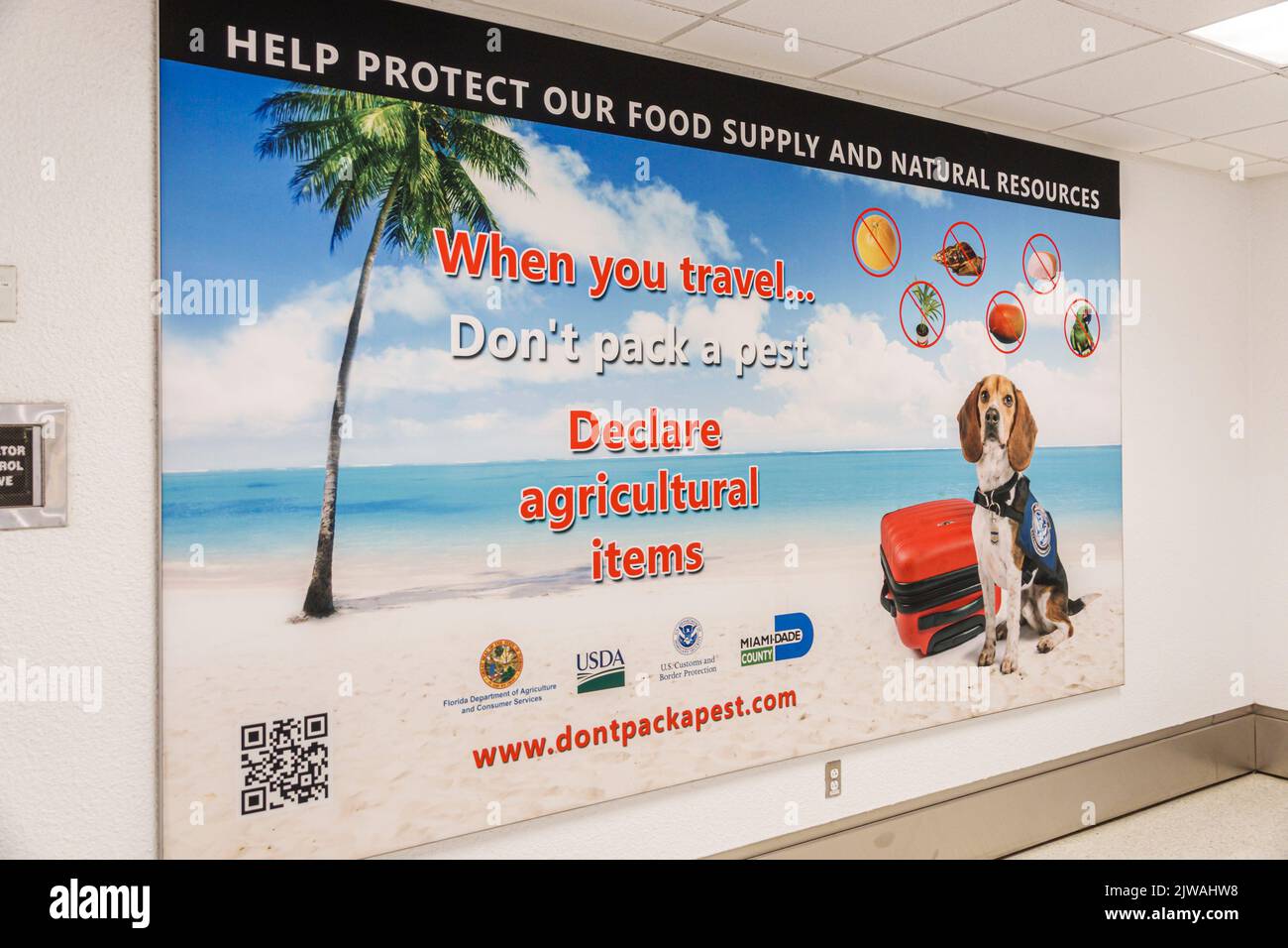 Miami Florida, Aeropuerto Internacional MIA Terminal Concourse área interior de la puerta, cartel de mensajes EE.UU. Estados Unidos América del Norte American Americ Foto de stock