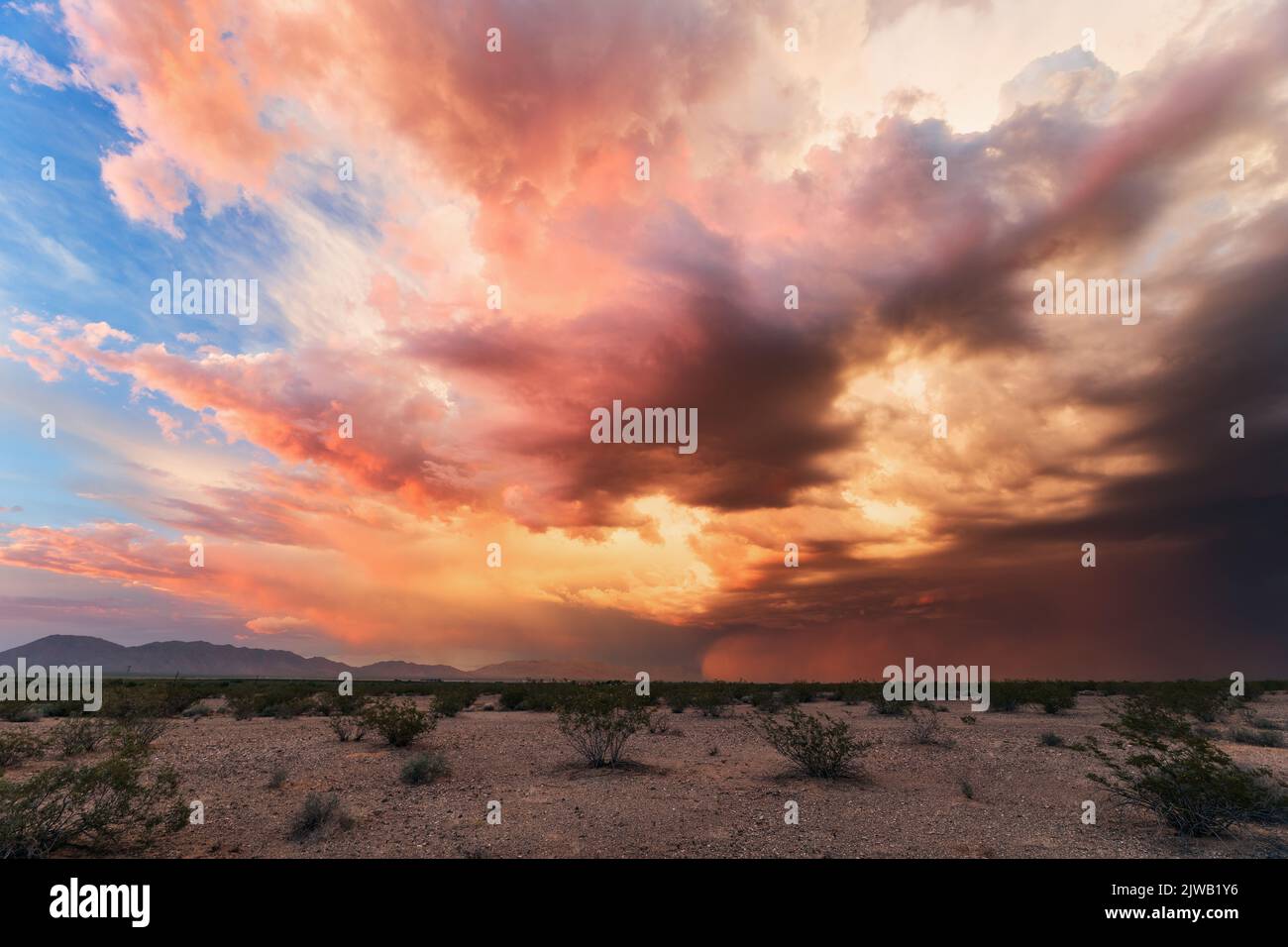 Puesta de sol de la temporada monzónica y tormenta de polvo en el desierto de Arizona Foto de stock