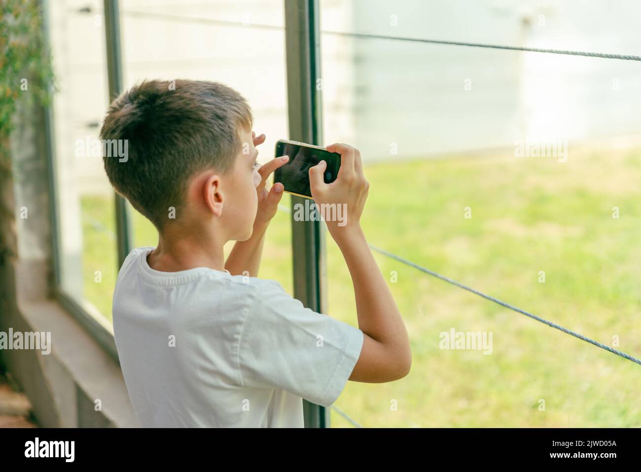 El niño fotografía a los animales con un teléfono inteligente en un zoológico a través de un cristal protector Foto de stock