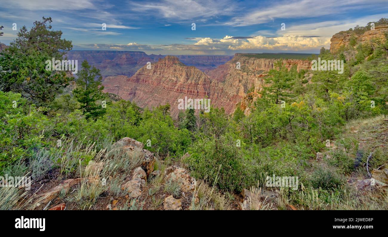 Coronado Butte vista desde el mirador de Buggeln, Parque Nacional del Gran Cañón, Arizona, Estados Unidos Foto de stock