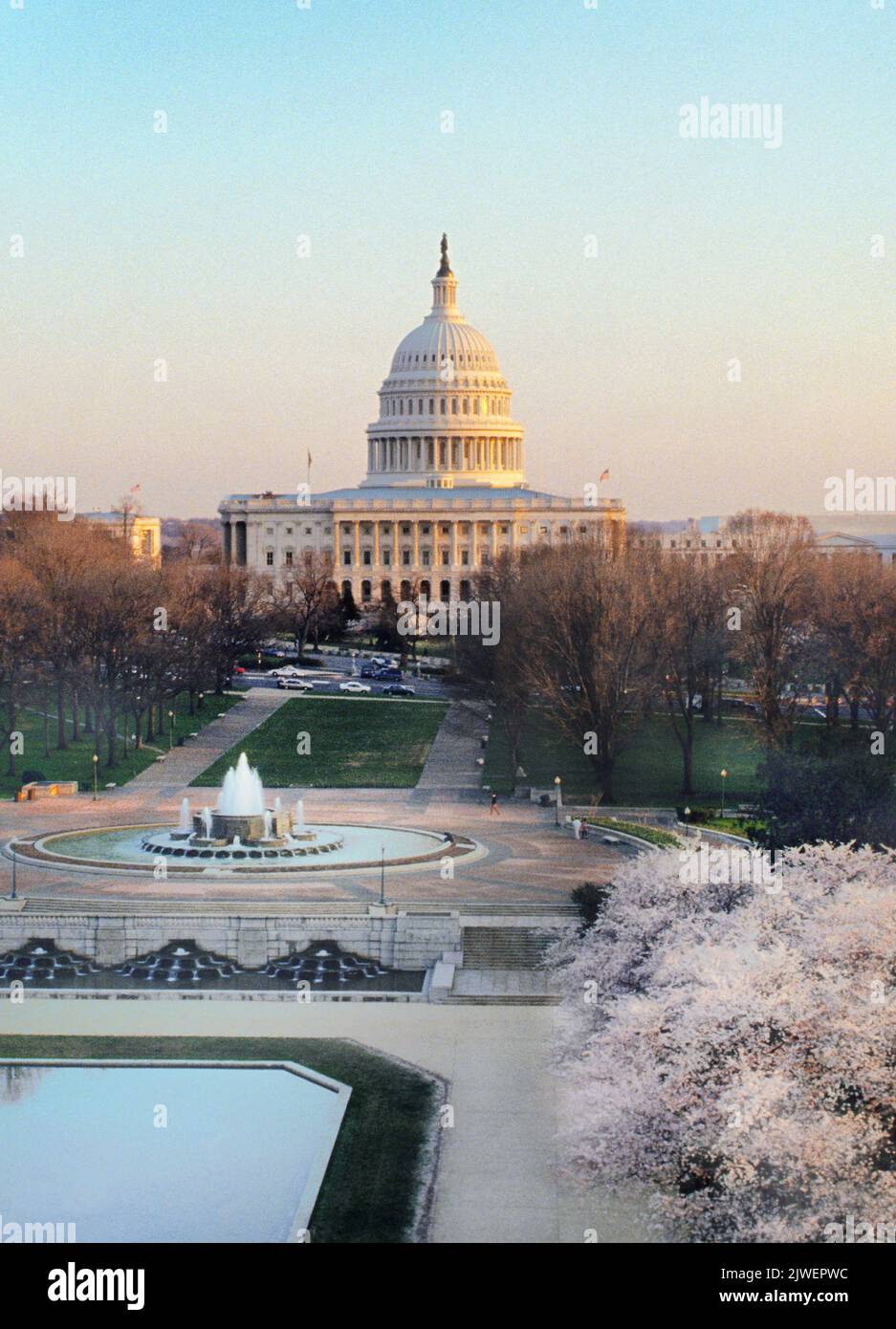 Edificio del Capitolio Washington DC. Los cerezos florecen en flor en el National Mall. Edificio del Gobierno de los Estados Unidos. Vista de perspectiva alta Foto de stock