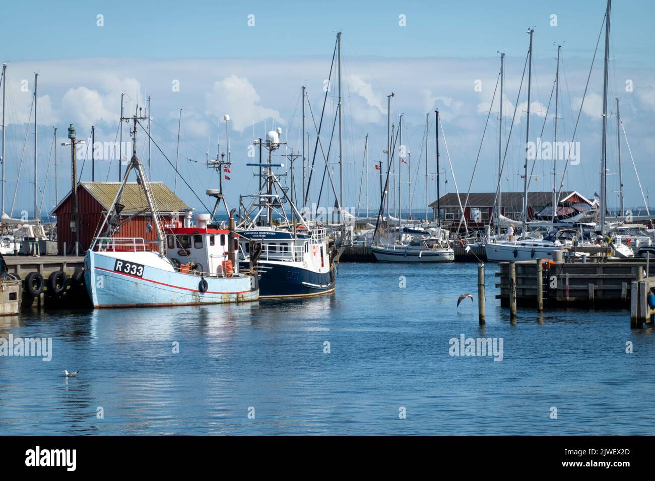 Barcos pesqueros en el puerto pesquero de Gilleleje, Gilleleje, Zelanda, Dinamarca, Europa Foto de stock