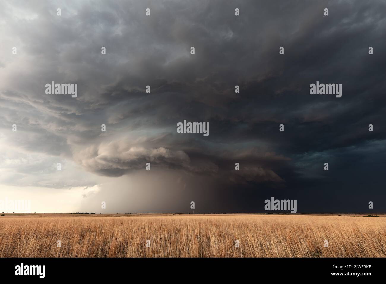 Tormenta de superceldas sobre un campo de trigo cerca de Greensburg, Kansas Foto de stock