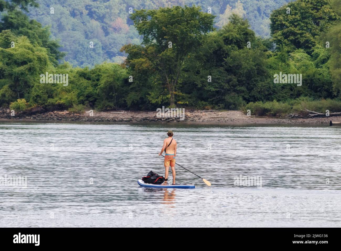 hombre con la espalda hacia la cámara en una tabla de remo en un río cerca de la orilla con follaje verde y árboles en el fondo Foto de stock
