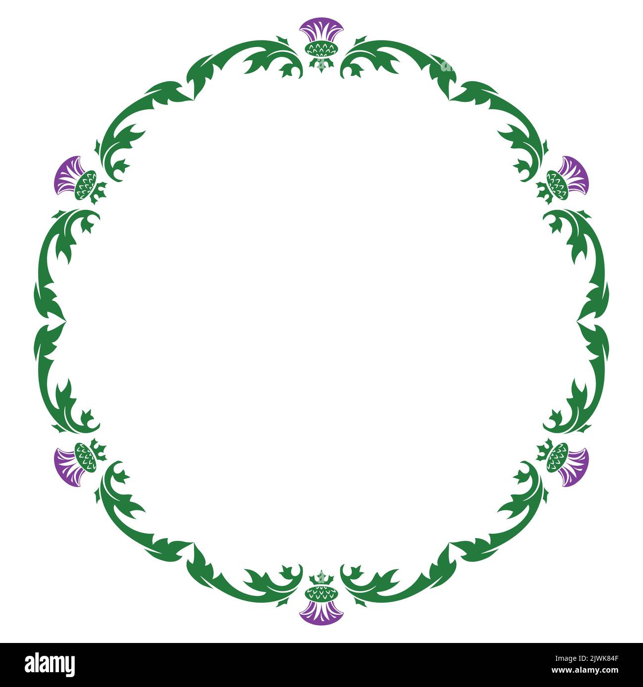 Flor de Thistle y ornamento cardo redondo de hoja. El símbolo de Escocia Ilustración del Vector