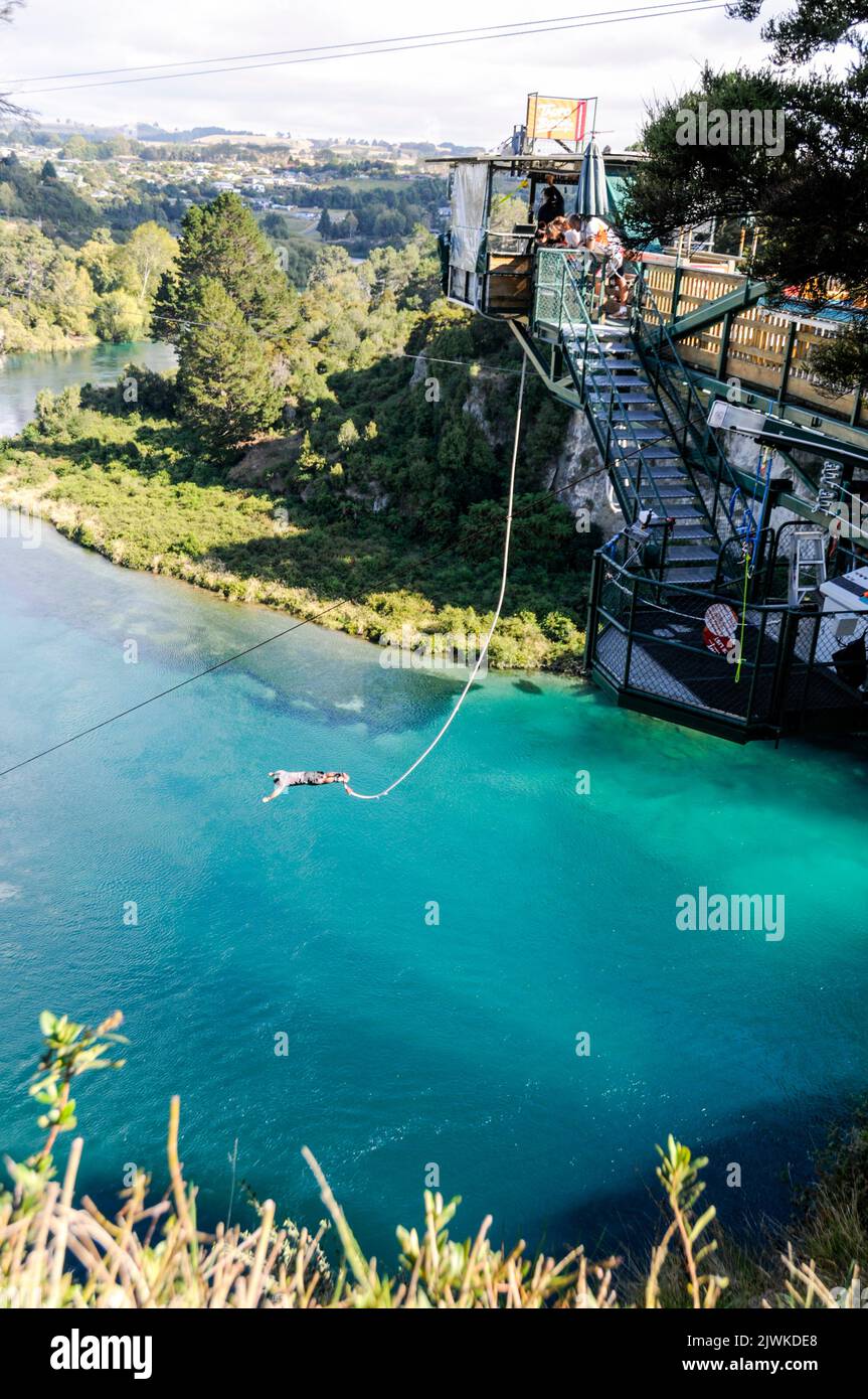 Un jumper conectado con un cordón elástico se sumerge 47 metros más abajo en el río Waikato (el más largo de Nueva Zelanda) desde el nuevo Taupo Cliff Hanger Foto de stock