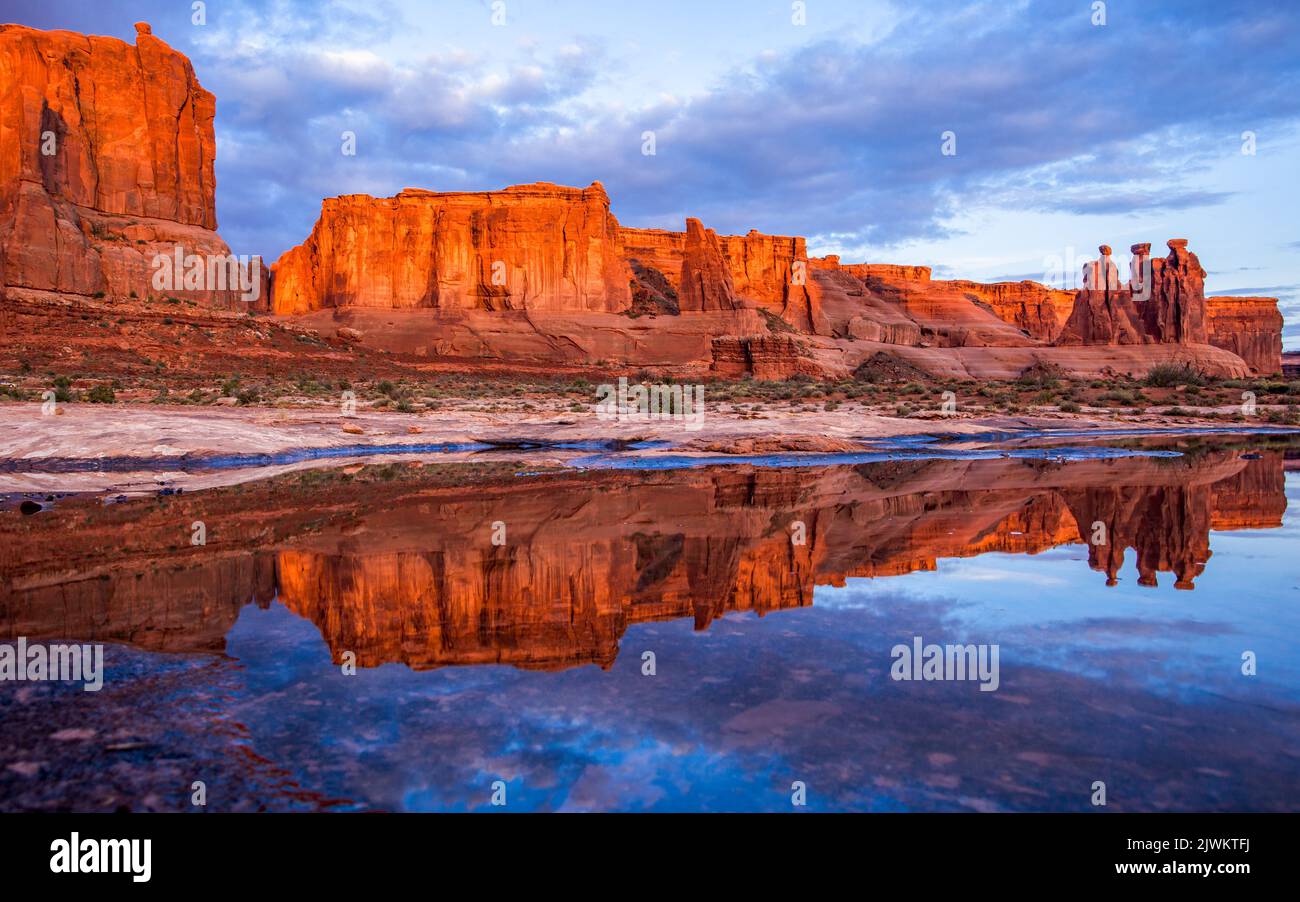 Los tres chismes se reflejaron en una efímera piscina de agua de lluvia