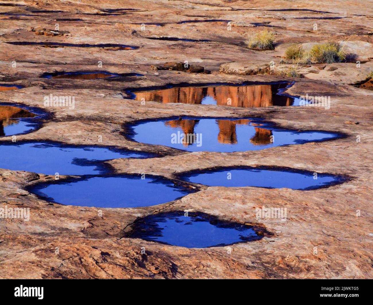 Los tres chismes se reflejaron en piscinas efímeras de agua de lluvia
