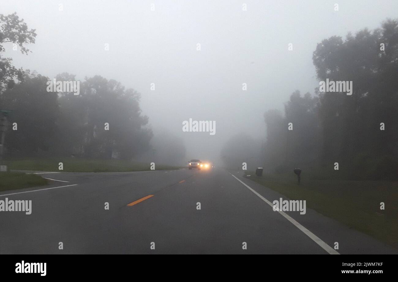 Viaje temprano por la mañana a través de la niebla en la zona rural del norte de Florida. Foto de stock