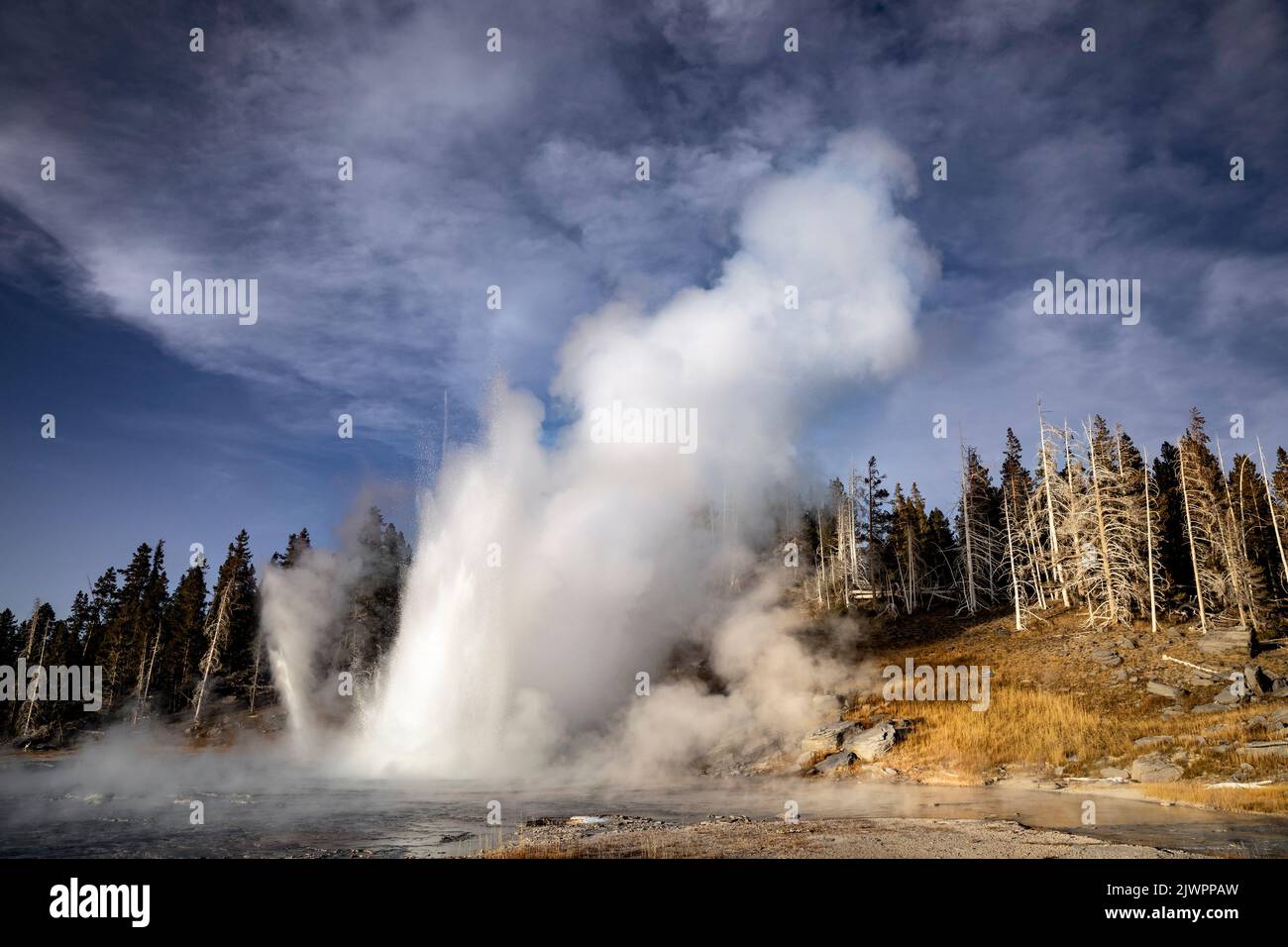 WY05041-00....WYOMING - Gran Géiser en la cuenca del Géiser Superior del área de Old Faithful, Parque Nacional de Yellowstone. Foto de stock