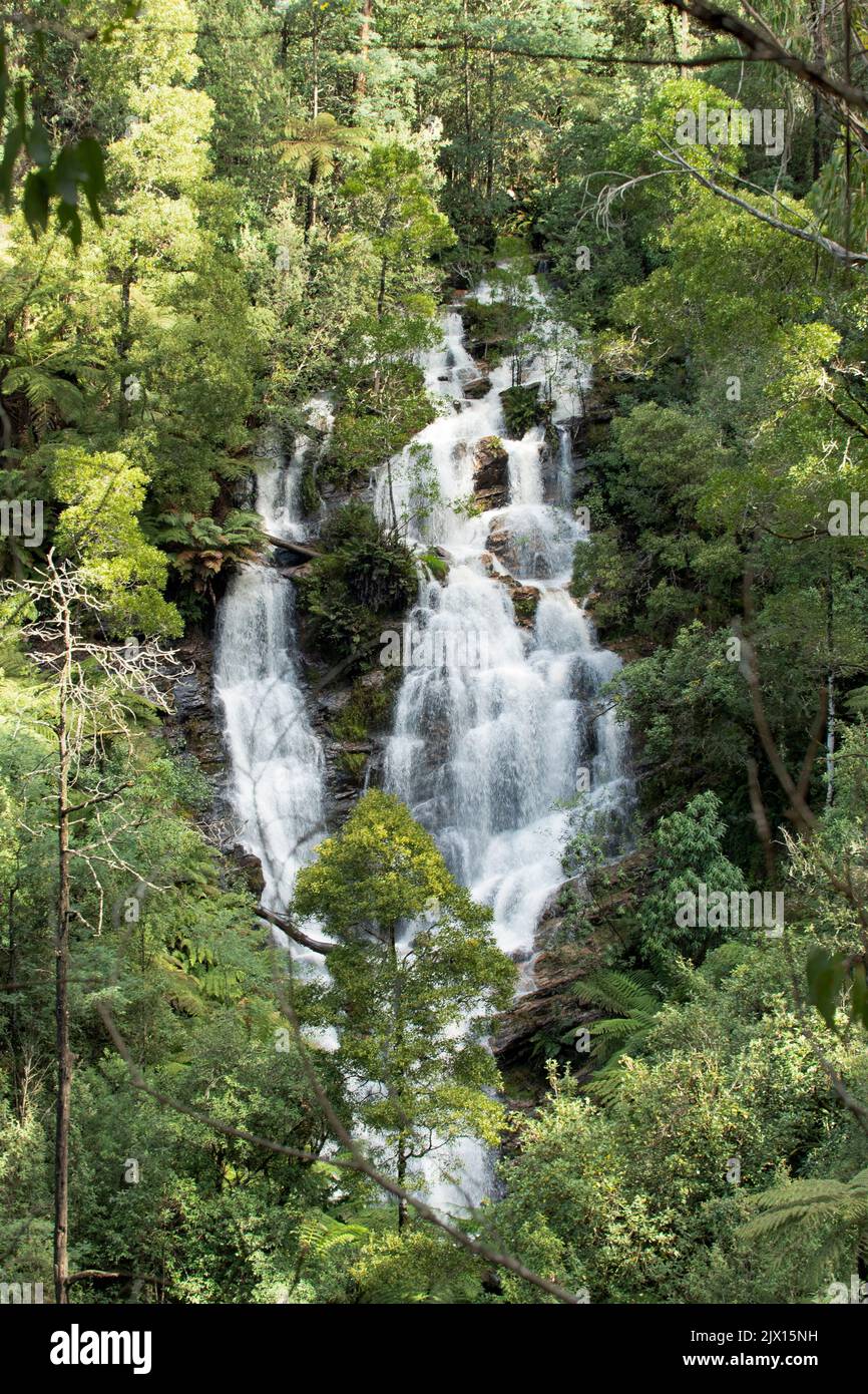 Wombelano Falls, Kinglake NP, Victoria, Australia Foto de stock