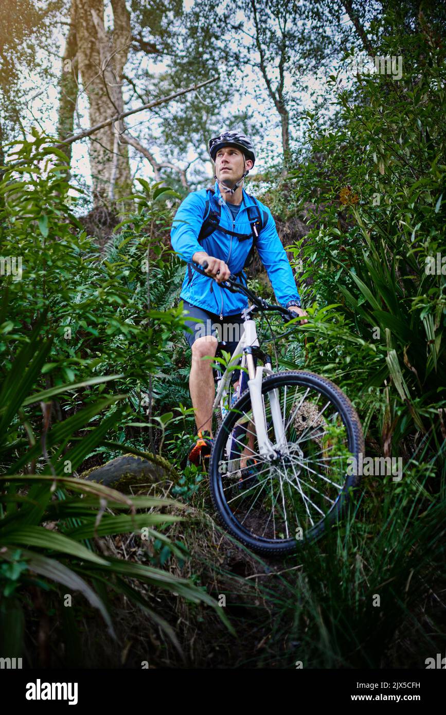 En la naturaleza en su bicicleta. Un ciclista masculino a lo largo de un sendero de bicicleta de montaña. Foto de stock