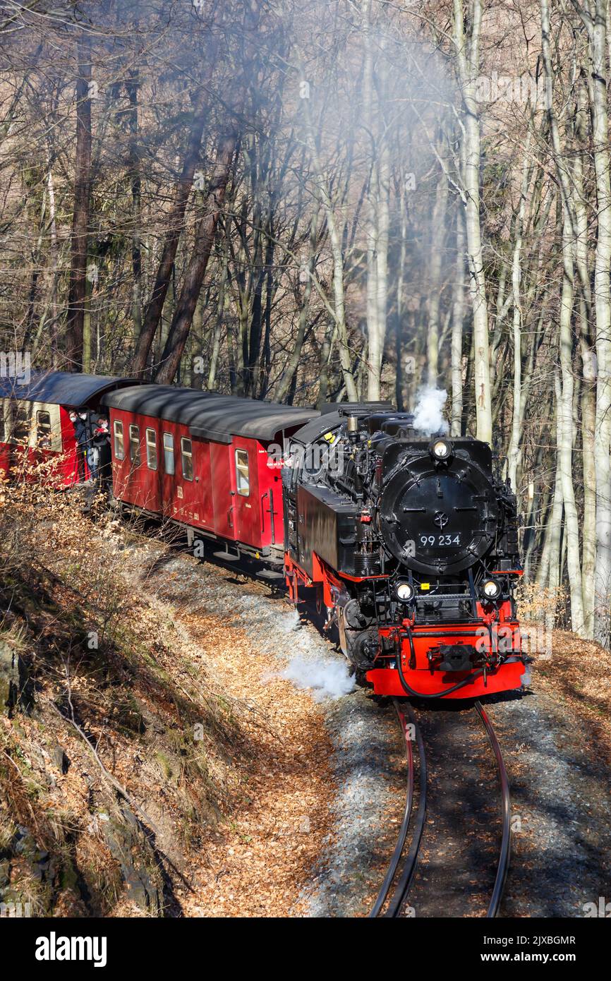 Brockenbahn Tren de vapor Locomotora ferrocarril retrato formato saliendo de Wernigerode en Alemania Foto de stock