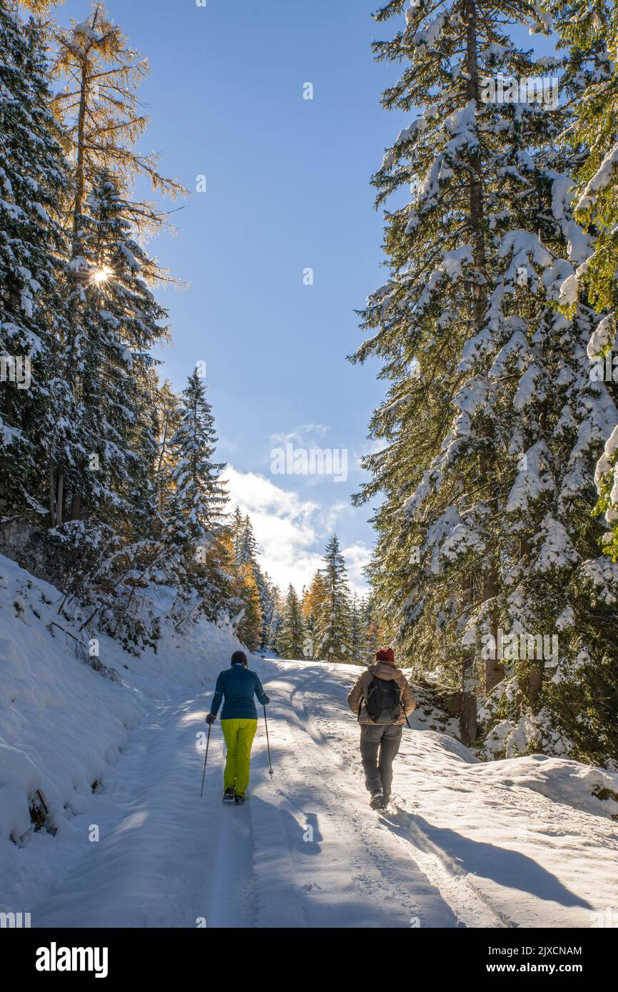 Dos mujeres de senderismo en un camino forestal en la nieve a un pasto de montaña, Tirol, Austria Foto de stock