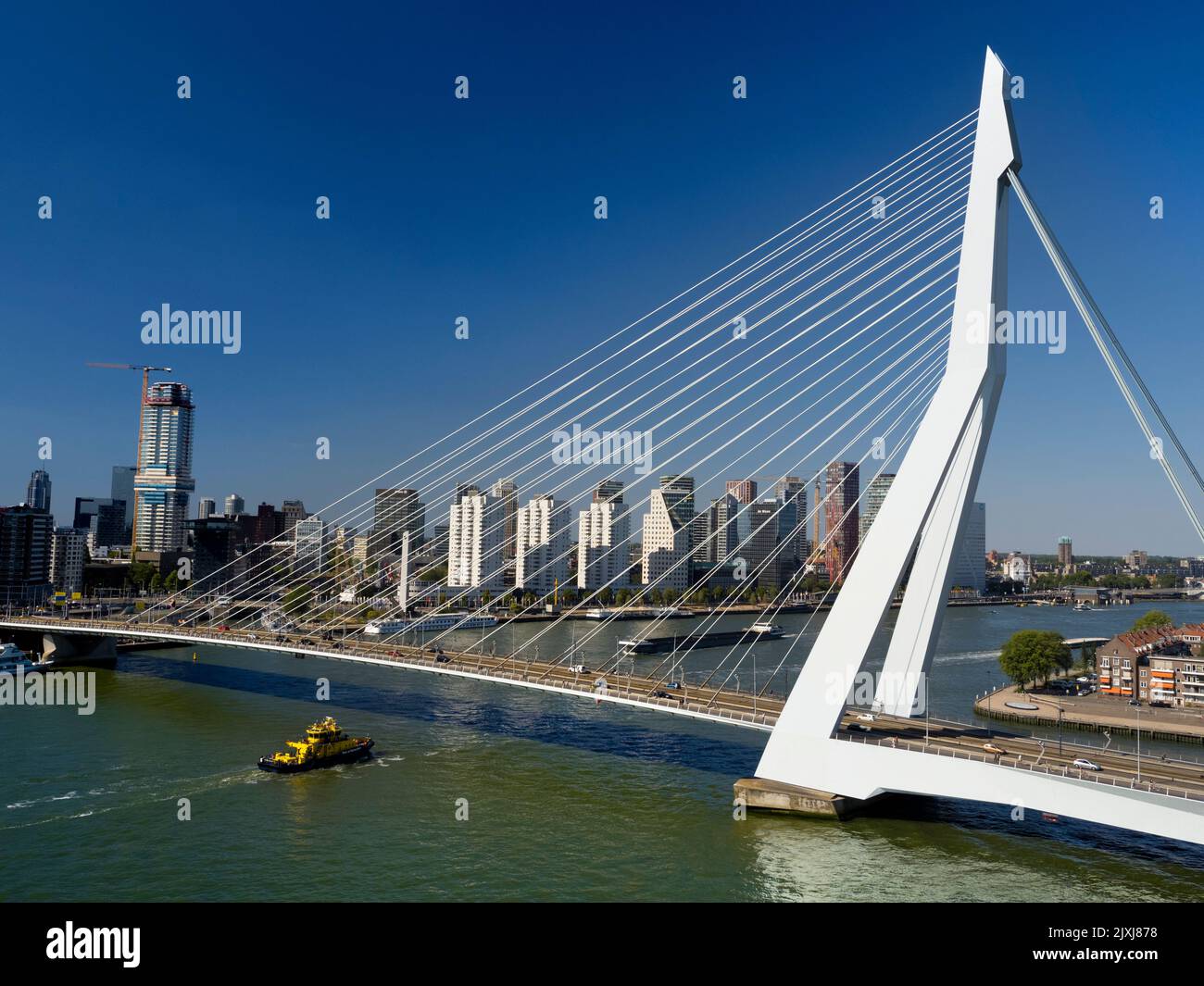 Llamado así por el gran filósofo y humanista holandés renacentista, el hermoso puente colgante de Rotterdam se suma considerablemente al horizonte de la ciudad Foto de stock