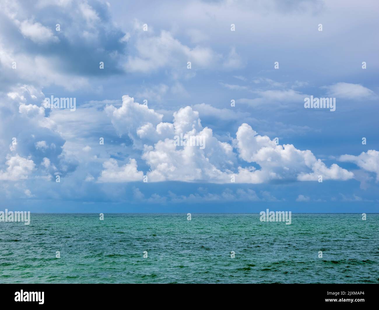 Nubes blancas y cielo azul sobre un golfo de México verde azulado en el suroeste de Florida USA Foto de stock