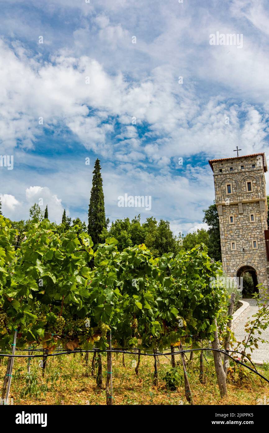 Detalle del monasterio de Tvrdos y sus viñedos en Bosnia y Herzegovina Foto de stock
