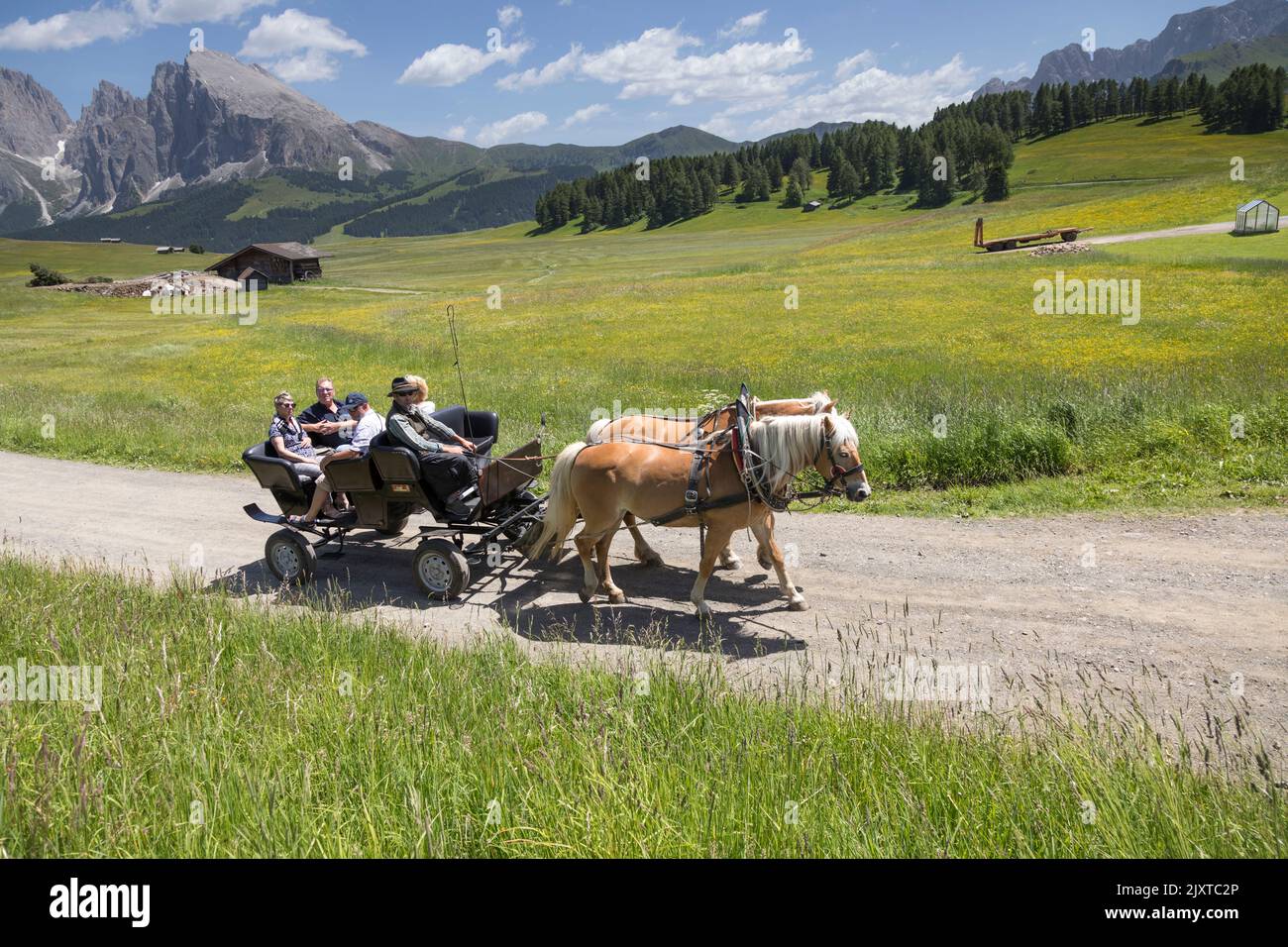 Un carro tradicional tirado por caballos transporta a los turistas a través de Alpi di Siusi en Val Gardena en las Dolomitas italianas. Foto de stock
