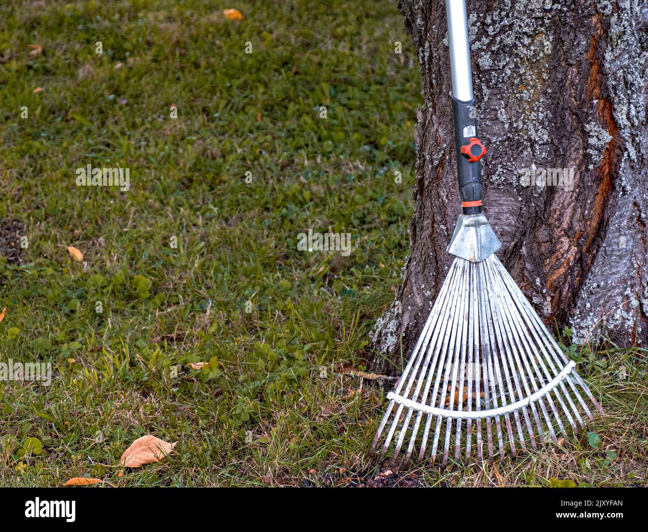 Rastrillar hojas de jardin jardin fotografías e imágenes de alta