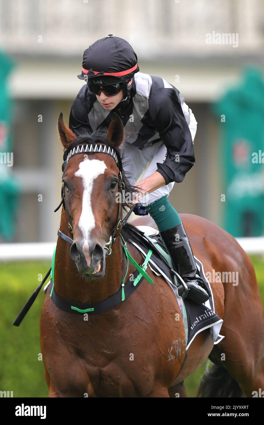 Jockey Robbie Dolan vuelve a la escala después de montar Splintex a la