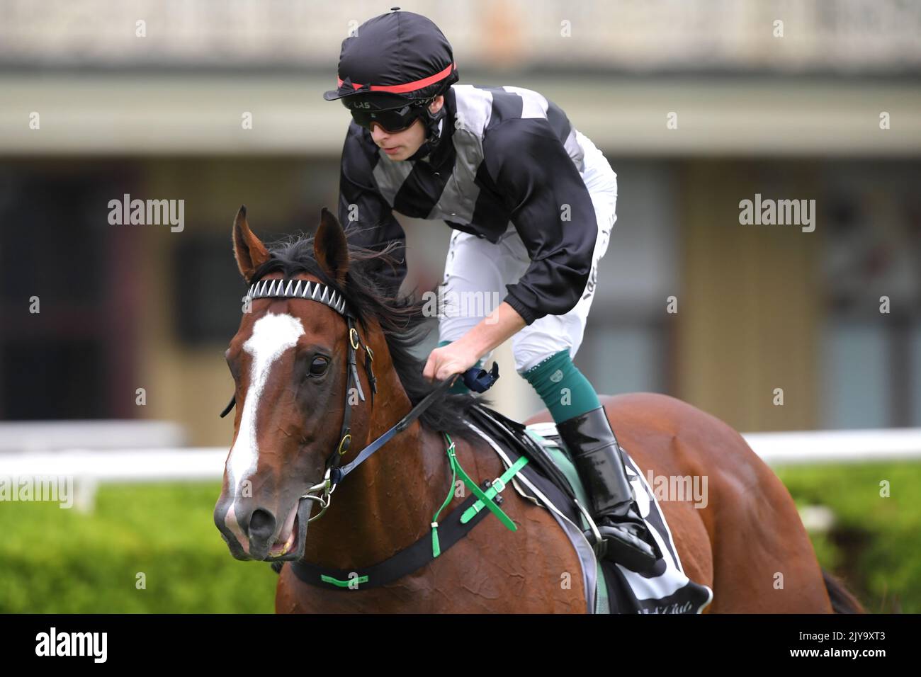 Jockey Robbie Dolan vuelve a la escala después de montar Splintex a la