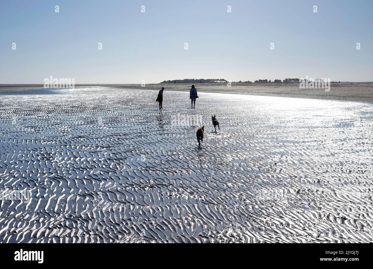 Paseadores de perros en pozos junto al mar Beach, North Norfolk, Inglaterra Foto de stock