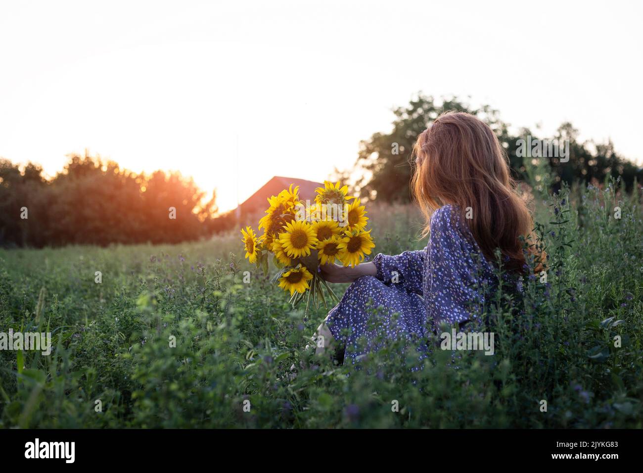 chica sosteniendo un enorme ramo de girasoles en sus manos a la luz del atardecer Foto de stock