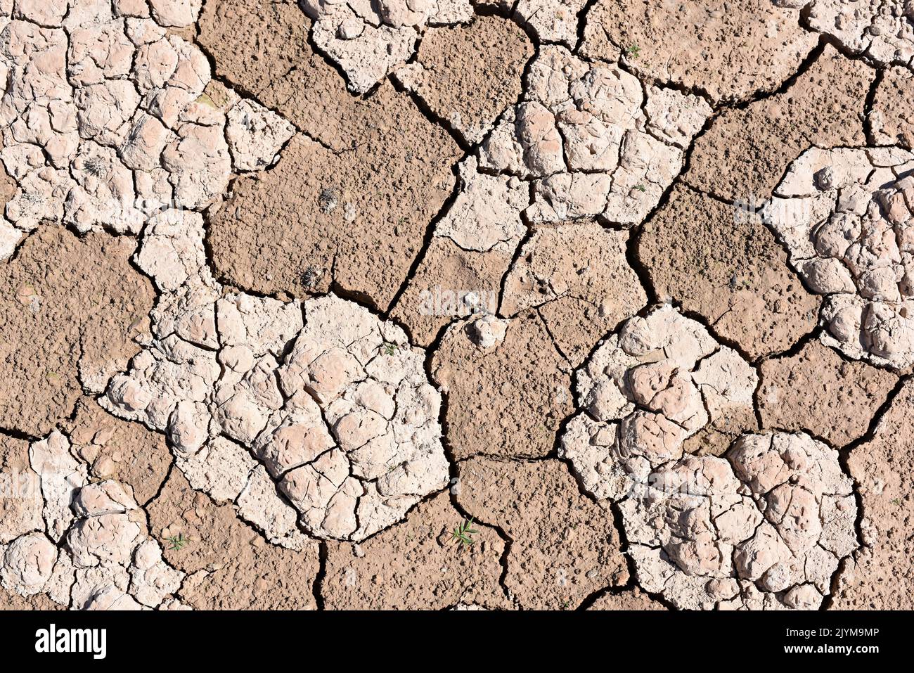 Tierra seca, cuarteada, debido a la sequía, producido por el cambio climático Foto de stock