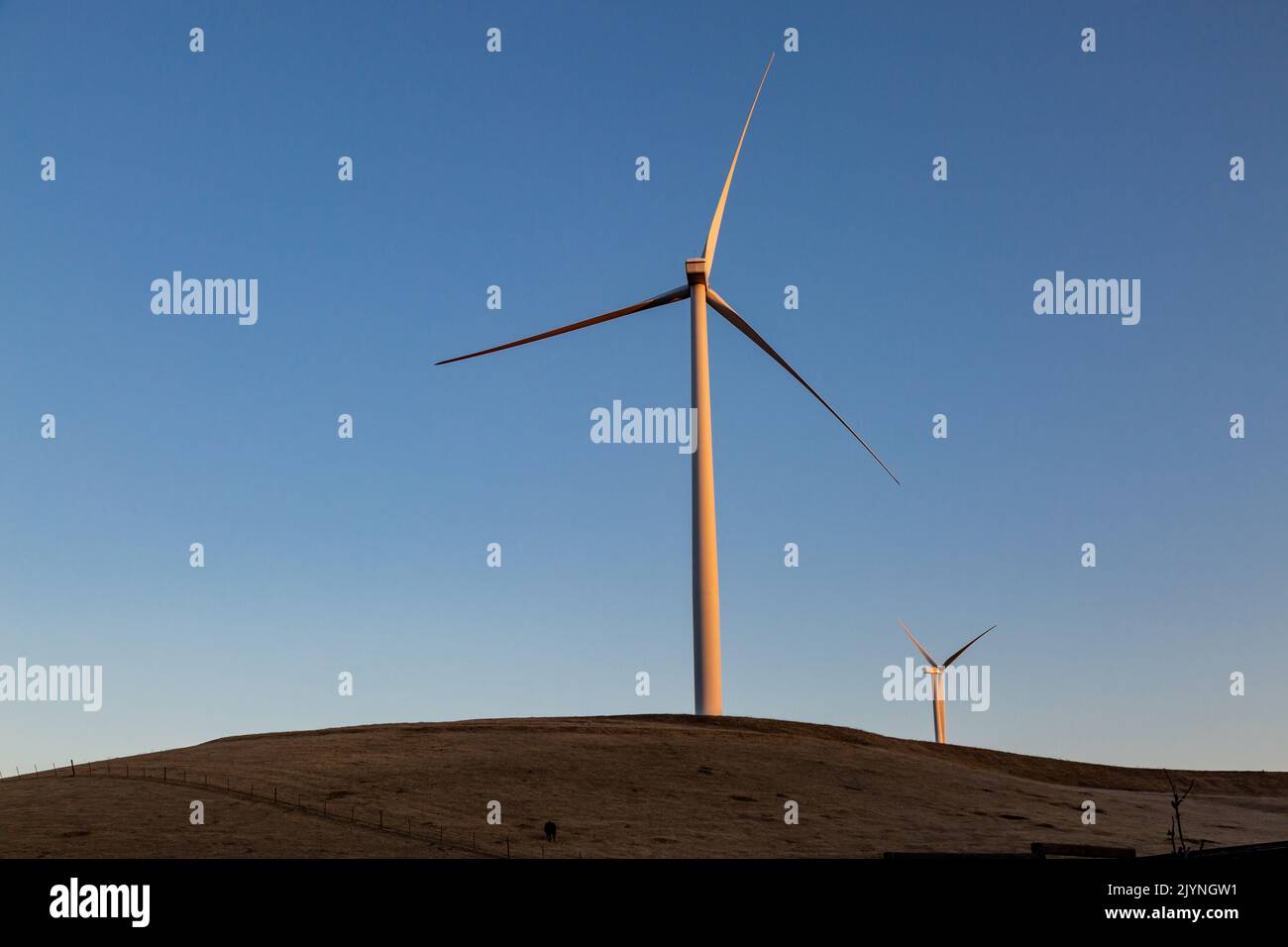 Turbinas de viento en el campo californiano en una mañana soleada Foto de stock