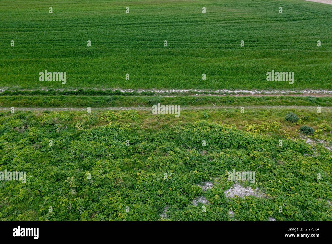 Campos cultivados y páramos cerca de Sangatte en tierra tiza, Costa de Ópalo, Pas-de-Calais, Francia Foto de stock