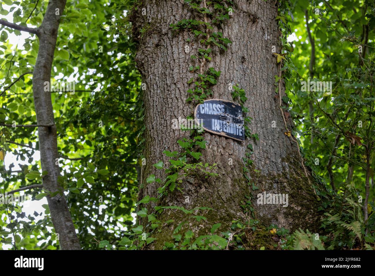 Signo de 'no caza' en un tronco de árbol, La Mancha, Normandía, Francia Foto de stock