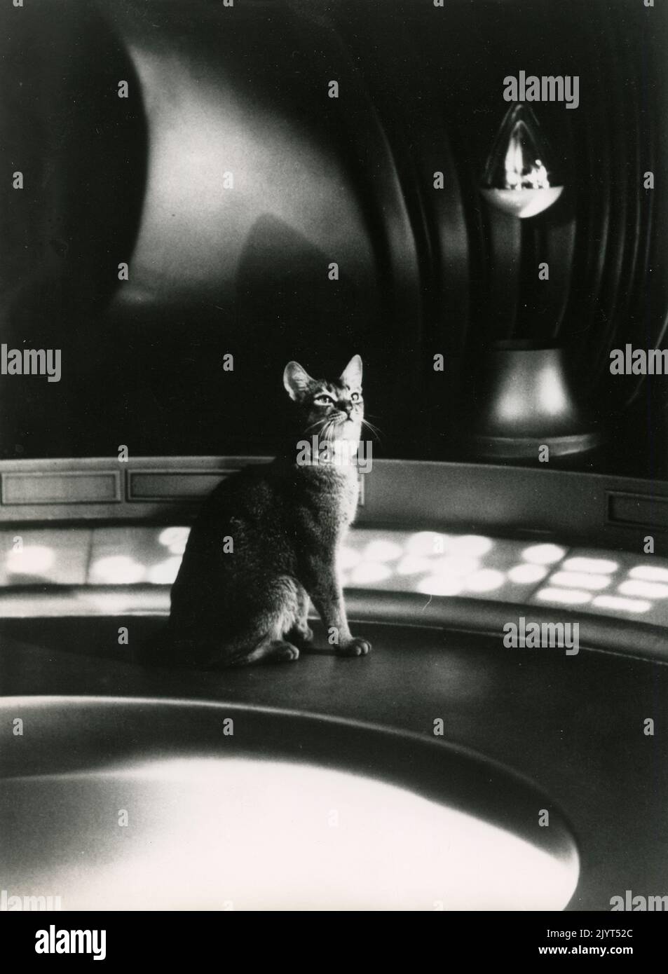El gato en la película El gato del espacio exterior, EE.UU. 1978 Foto de stock