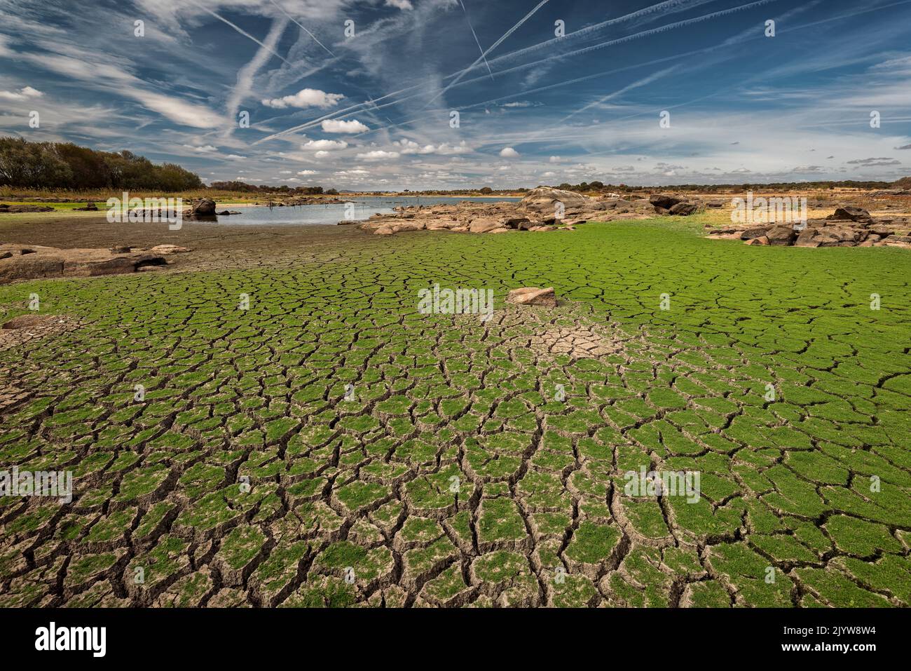 Terreno agrietado por sequía en el embalse de Molano. Extremadura. España. Foto de stock