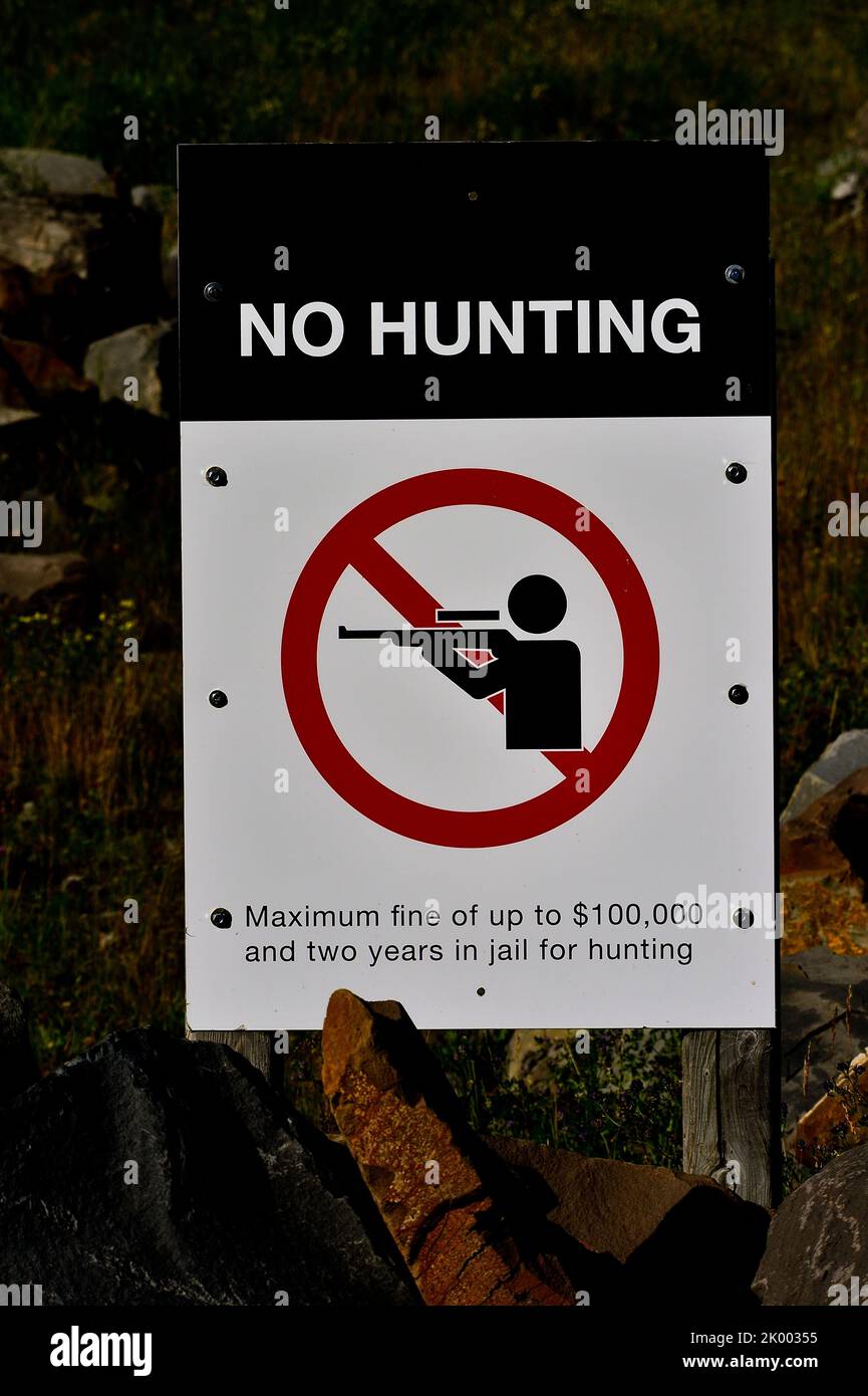 Una imagen vertical de un letrero de no caza en propiedad privada en la zona rural de Alberta, Canadá. Foto de stock