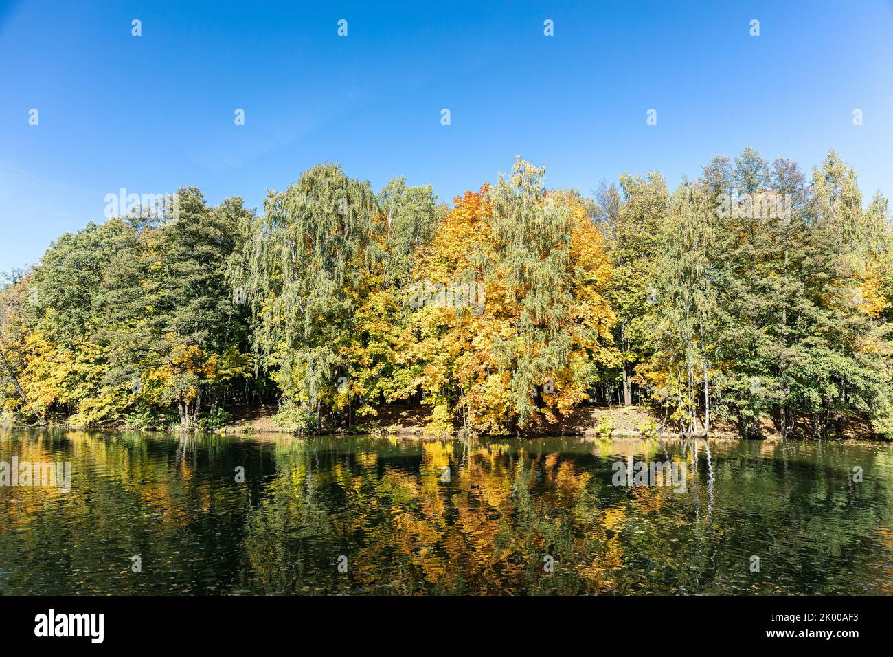 coloridos árboles de otoño en la orilla del lago con hermosos reflejos en el agua Foto de stock