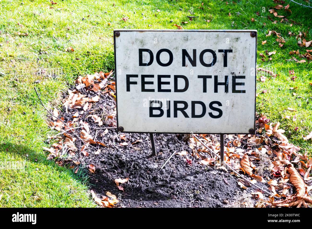 Un gran signo de no alimentar a los pájaros. Foto de stock