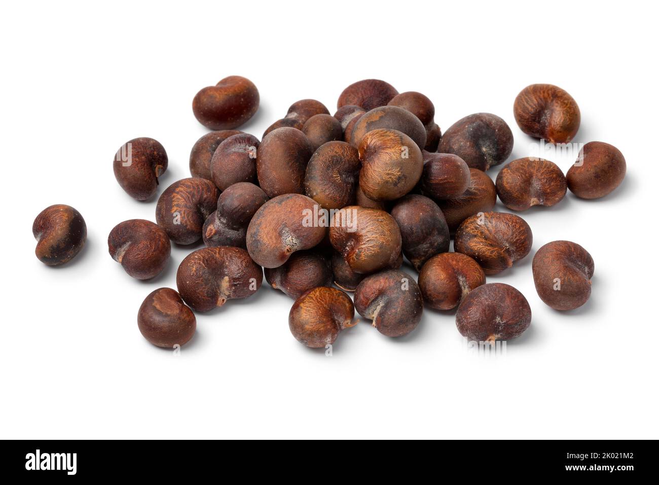Montón de semillas marrones de una planta de thornapple cerca aisladas sobre fondo blanco Foto de stock