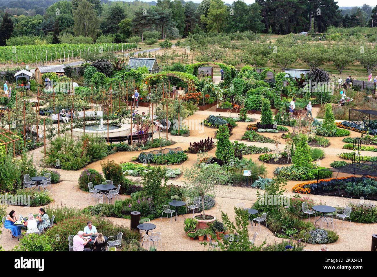 El recientemente desarrollado sitio Hilltop en RHS Gardens en Wisley Surrey, Inglaterra, Reino Unido Foto de stock