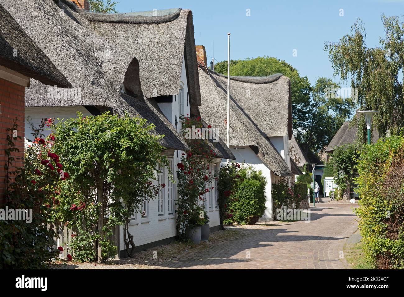 Casas de paja, Nieblum, Isla Föhr, Frisia del Norte, Schleswig-Holstein, Alemania Foto de stock