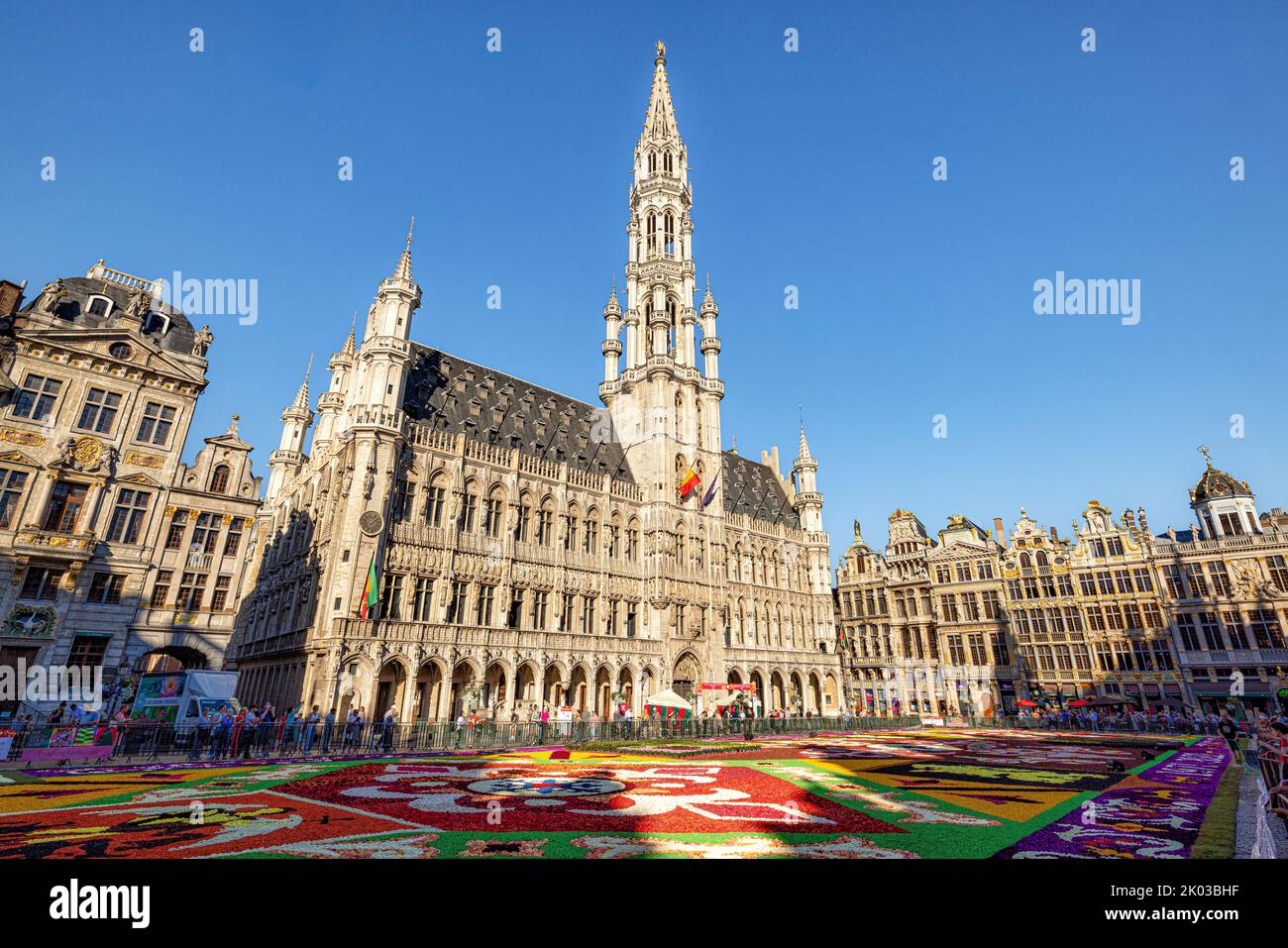 Vista del ayuntamiento y la alfombra de flores en la Grand Place. Bruselas, Bélgica. Foto de stock