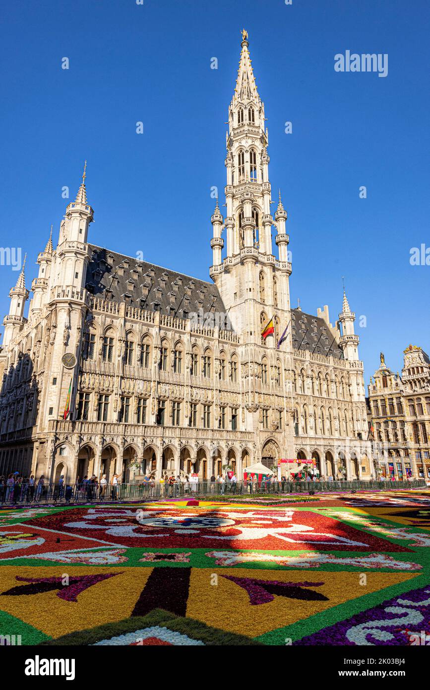 Vista del ayuntamiento y la alfombra de flores en la Grand Place. Bruselas, Bélgica. Foto de stock