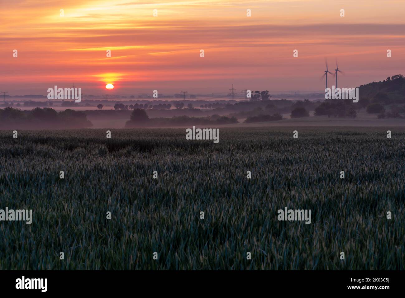 Salida del sol en Magdeburger Börde, postes de energía, turbinas de viento, campo de grano, Irxleben, Sajonia-Anhalt, Alemania Foto de stock
